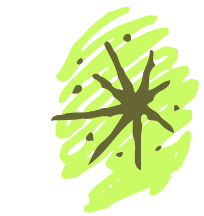 Sketched lime clipart