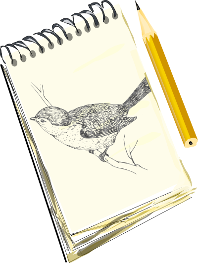 Sketchpad, with drawing of a bird clipart