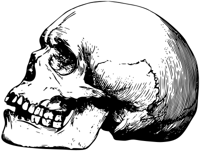 Skull 13 clipart
