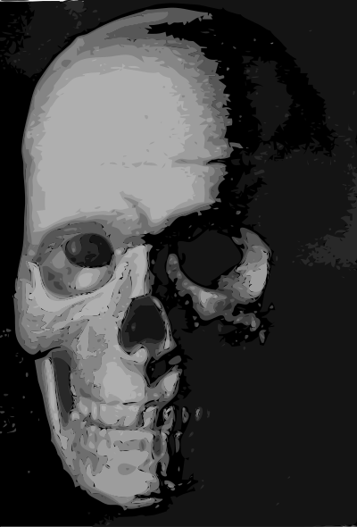 Skull 8c clipart