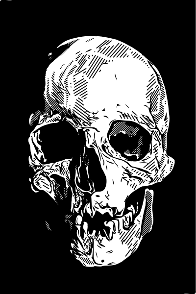 Skull in Darkness clipart