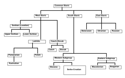 Slavic Language Diagram With Drop Shadow clipart