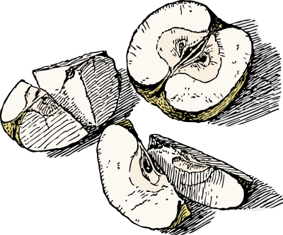Sliced Apple clipart