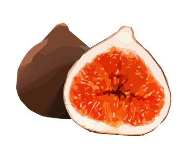 Sliced Open Fig clipart