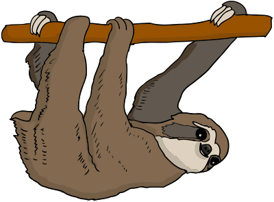 Sloth clipart