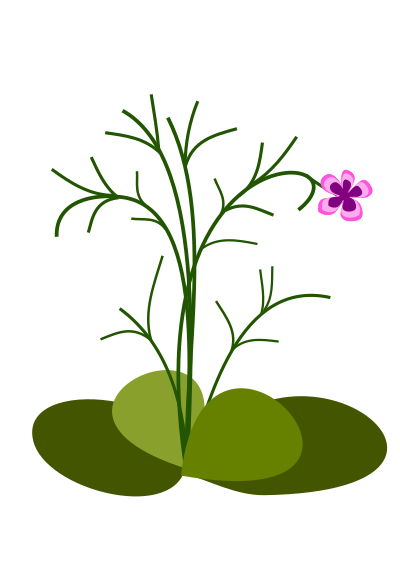 Small flowers clipart