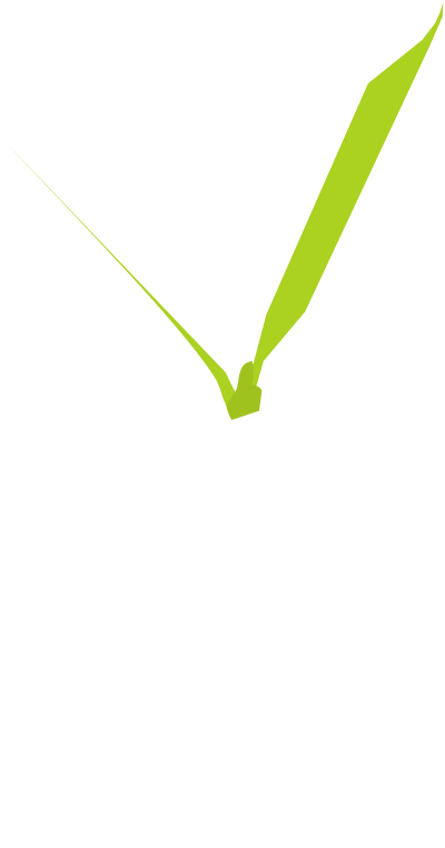 Small plant clipart