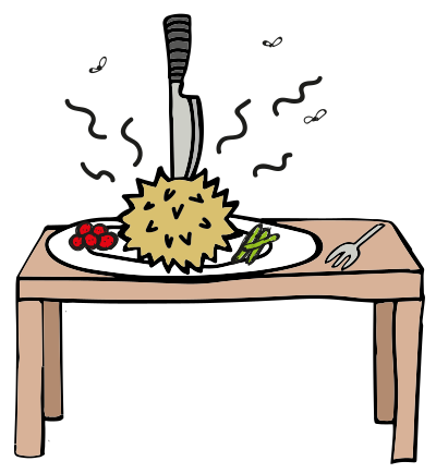 Smelly durian with flies clipart