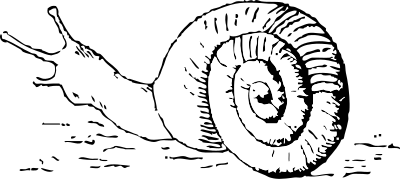 Snail clipart