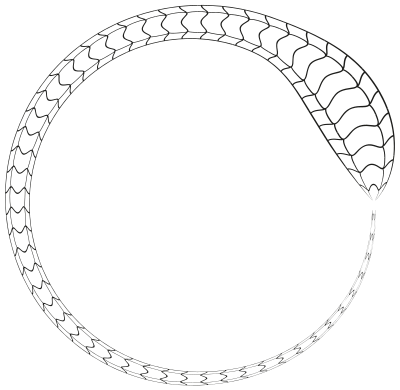 Snake Frame clipart