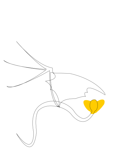 Snake with Wings clipart