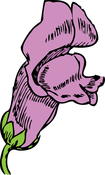 Snapdragon clipart