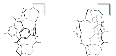 Sn(II) hetero-bimetallic cryptand clipart