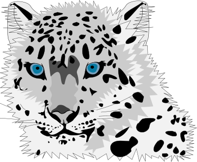 Snow leopard clipart