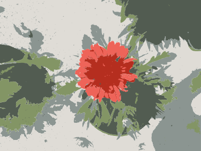 So many Missouri aiflowers flowers clipart