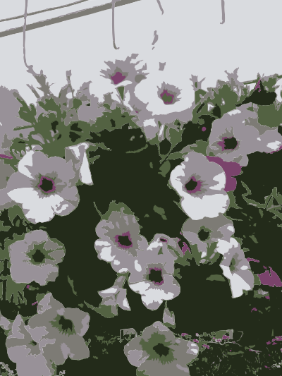 So many Missouri aiflowers flowers 3 clipart