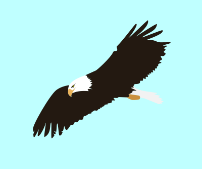 Soaring Eagle clipart
