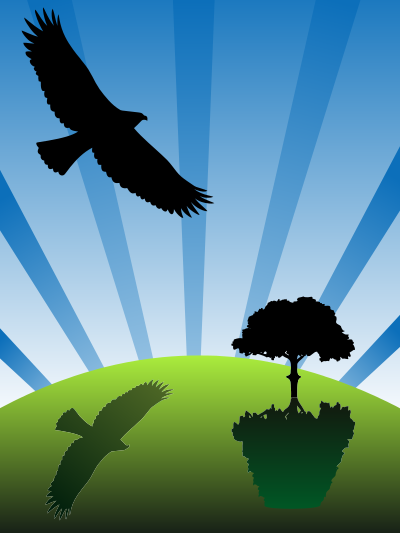 Soaring Eagle Landscape clipart