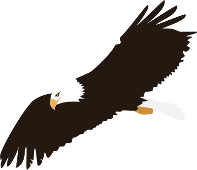 Soaring Eagle (no background) clipart