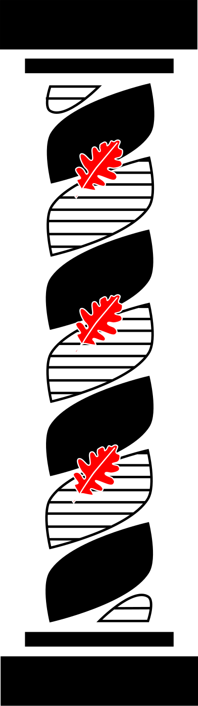 Solomonic Column clipart