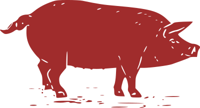 Sow clipart