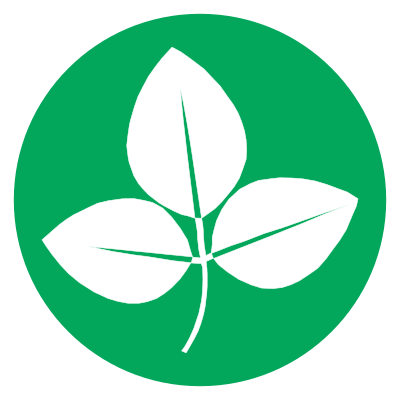 Soy beans on green circle background clipart