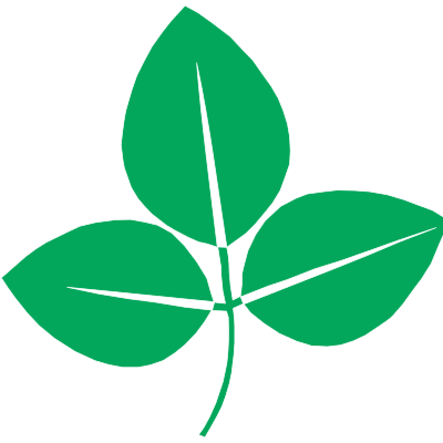 Soya bean plant with 3 leaves in green without background clipart