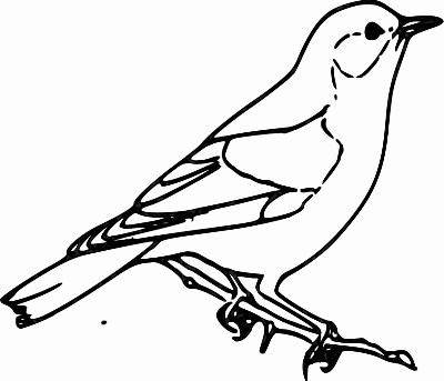 Sparrow clipart