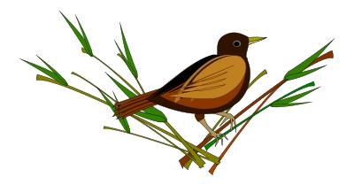 Sparrow clipart