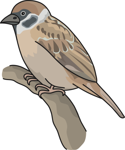 Sparrow clipart