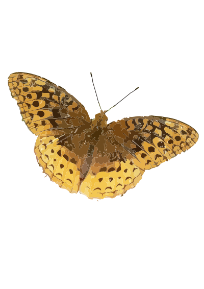 Speyeria cybele clipart