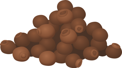 Spice All Spice clipart