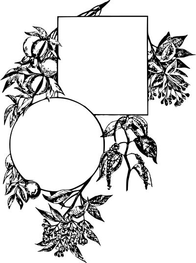 Spice frame clipart