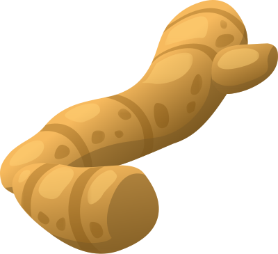 Spice Ginger clipart