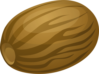 Spice Nutmeg clipart