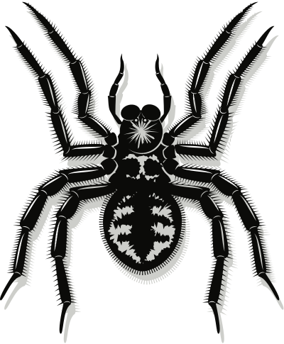 Spider (#1) clipart