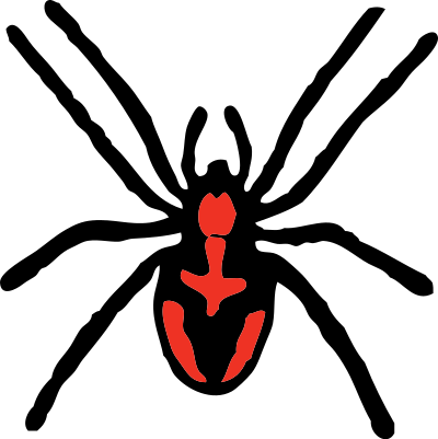 Spider clipart