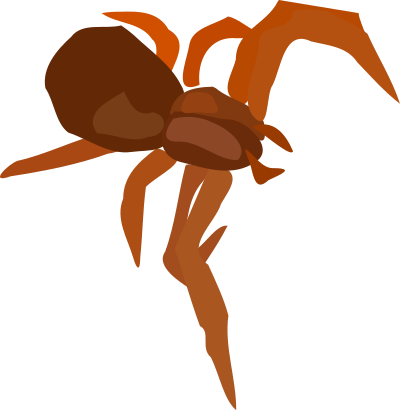 Spider clipart
