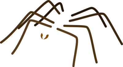 Spider clipart