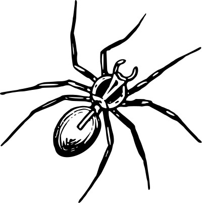 Spider 4 clipart