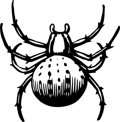 Spider 5 clipart