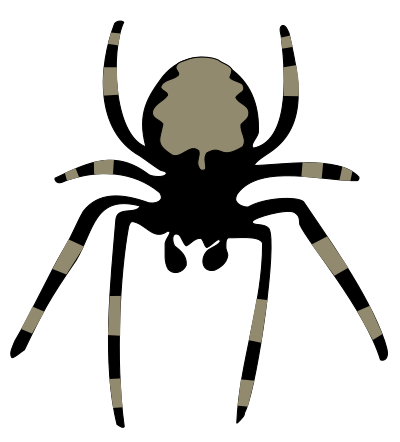 Spider clipart