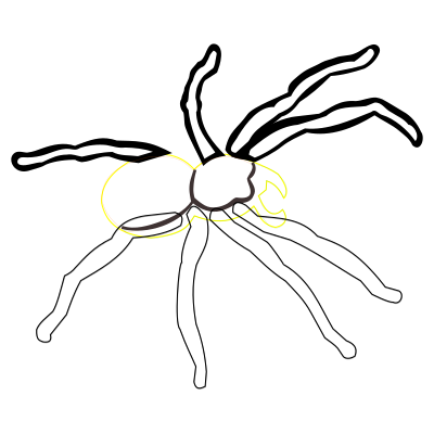 Spider - coloured clipart