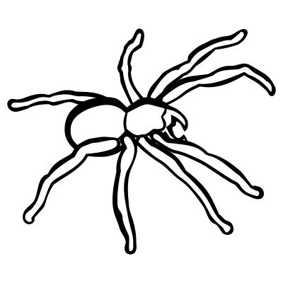 Spider - lineart clipart