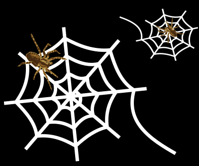 Spider-web clipart