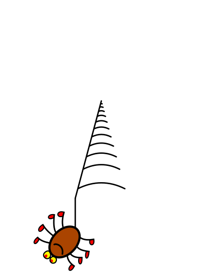 Spider Web clipart