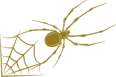 Spider with web clipart