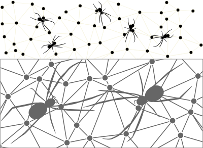 Spiders clipart