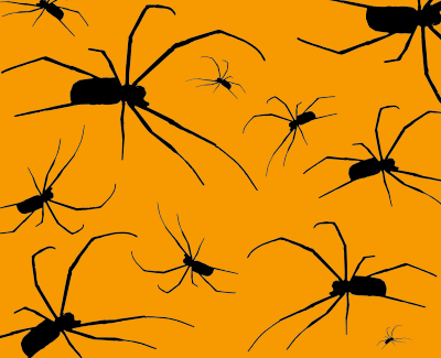 Spiders With Orange Background clipart