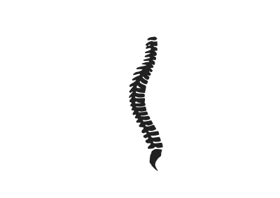Spine clipart